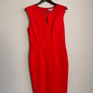 NWT Dylan Gray Orange/Red Sheath Dress